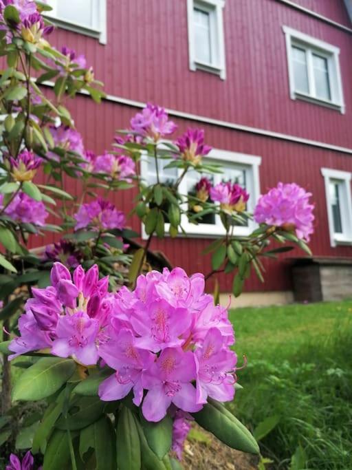 Haus Gruenfels Apartment Мурау Экстерьер фото