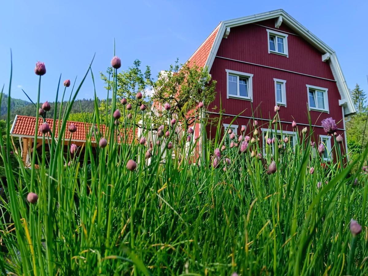 Haus Gruenfels Apartment Мурау Экстерьер фото